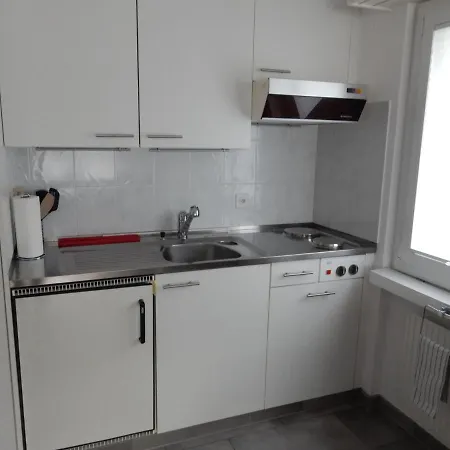 Schoene Unterkunft Mit Blick Auf Die Berge Apartamento Maienfeld